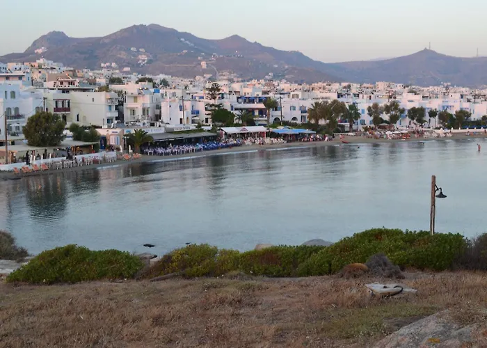 Apartament Live The Dream