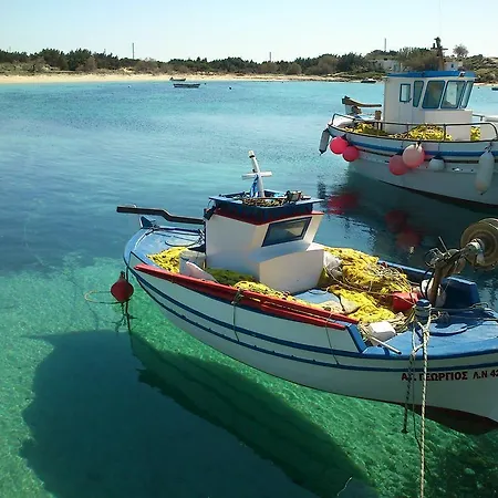 Apartment Live The Dream